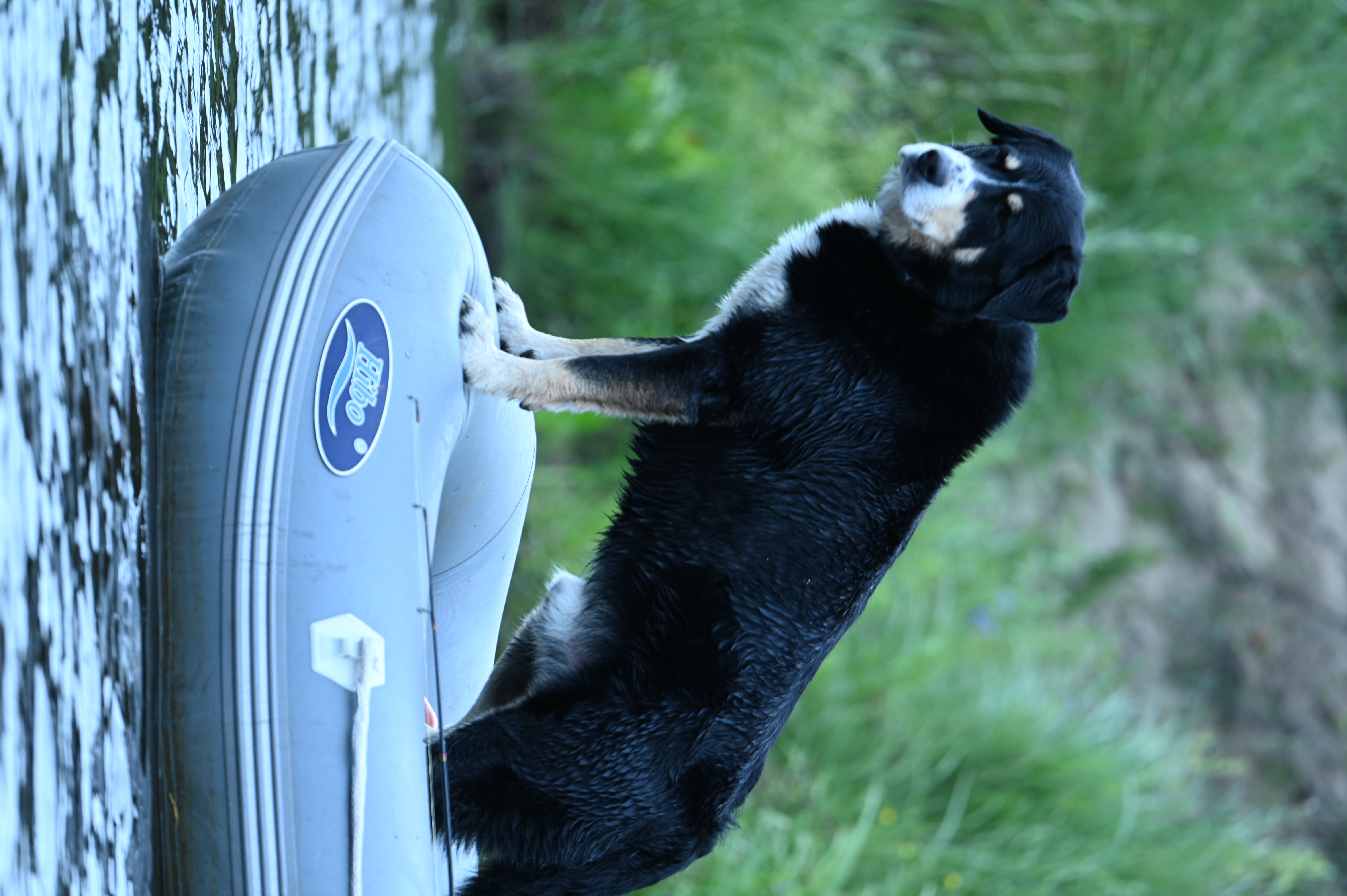 2025/07/09-14 - trip/DSC_0226.JPG